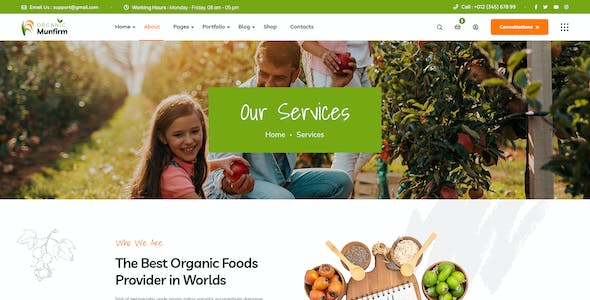 集團網站視頻處理和展示